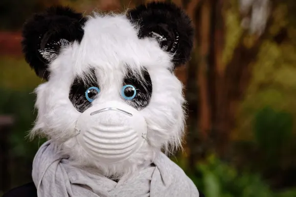 SilverPlay Cazino Cazinou Suport